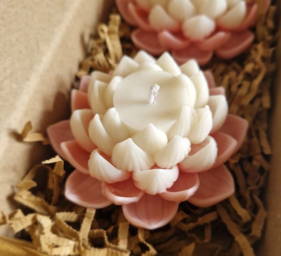 lotus-2 - Copy